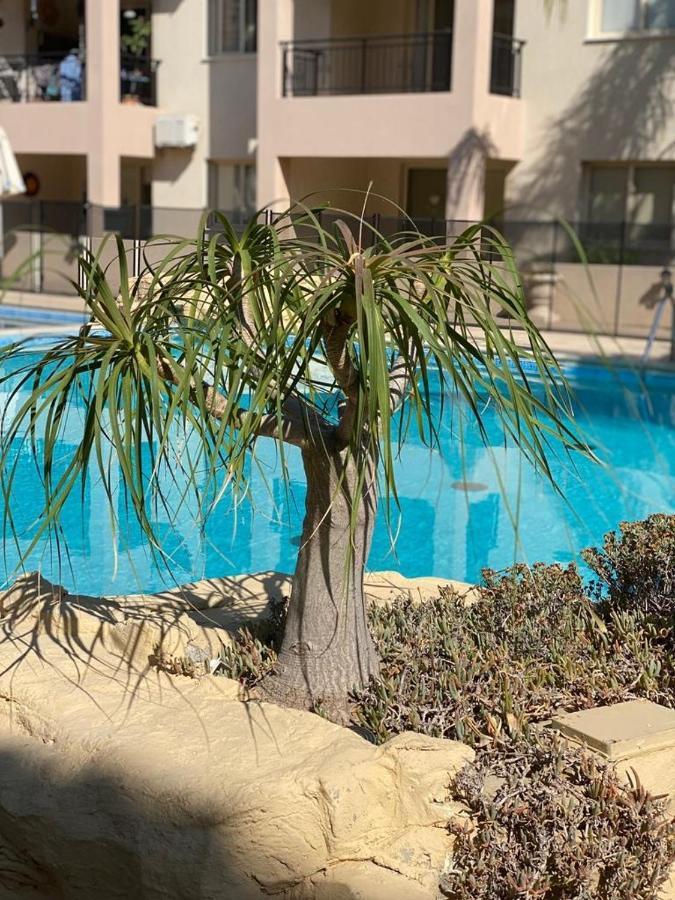 Paphos Royal Seacrest F G5 Ground Floor Apartment מראה חיצוני תמונה