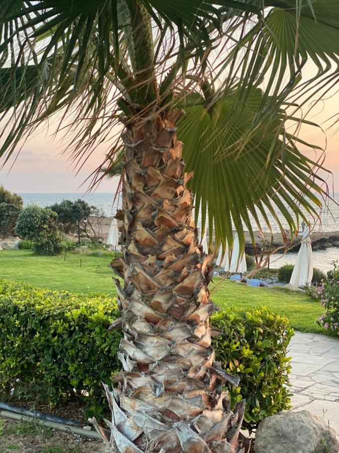 Paphos Royal Seacrest F G5 Ground Floor Apartment מראה חיצוני תמונה
