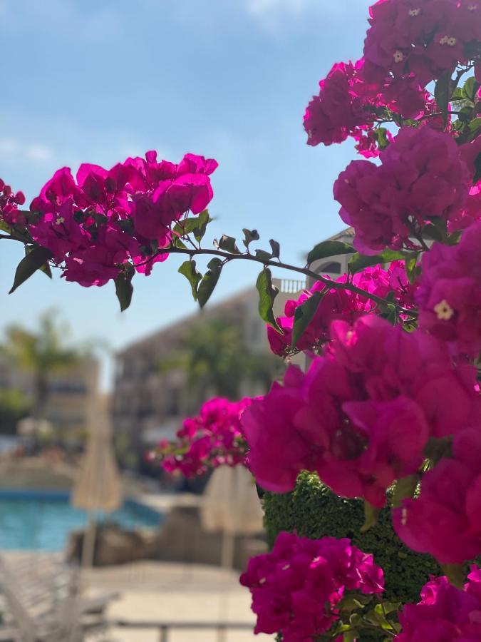 Paphos Royal Seacrest F G5 Ground Floor Apartment מראה חיצוני תמונה